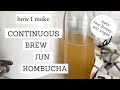 Th kombucha  infusion continue