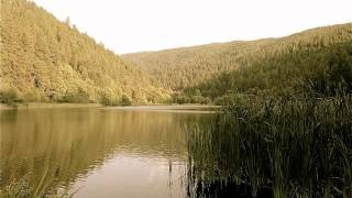 Bela Fleck And The Flecktones - Old Jellico, Puddle Jumper, Dead Man's Hill