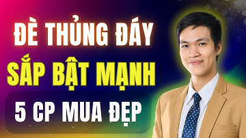 Cú Đạp Cuối: Đè Thủng Đáy Nhưng 5 Cổ Phiếu Này Sắp Tăng Rất Mạnh