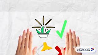 Nanobionic Plants