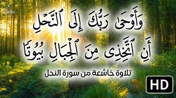 وأوحى ربك إلى النحل أن اتخذي من الجبال بيوتاً « سبحان من خلق فأبدع .. تلاوة خاشعة من سورة النحل