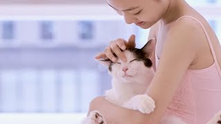 人生につまずいた時、猫が幸せを連れてきた♥映画『私と猫のサランヘヨ』予告編