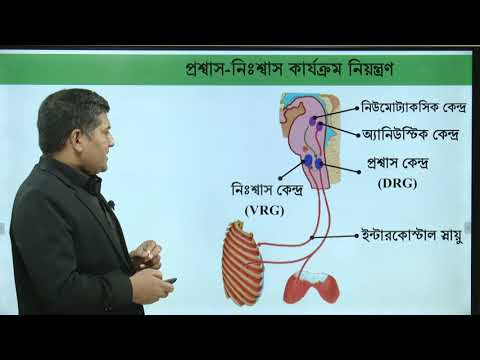 লেকচার-৩ (শ্বসনের স্নায়বিক নিয়ন্ত্রণ)