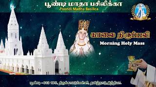 🔴Live | Holy Mass |26.04.2026 | Fr. Lawerence, Asst PP| Poondi Madha Basilica