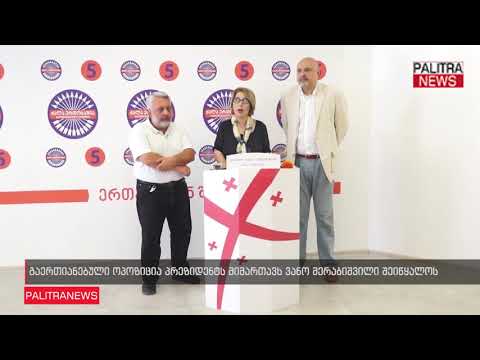 გაერთიანებული ოპოზიცია პრეზიდენტს მიმართავს ვანო მერაბიშვილი შეიწყალოს