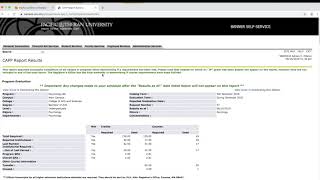 How to use your CAPP report