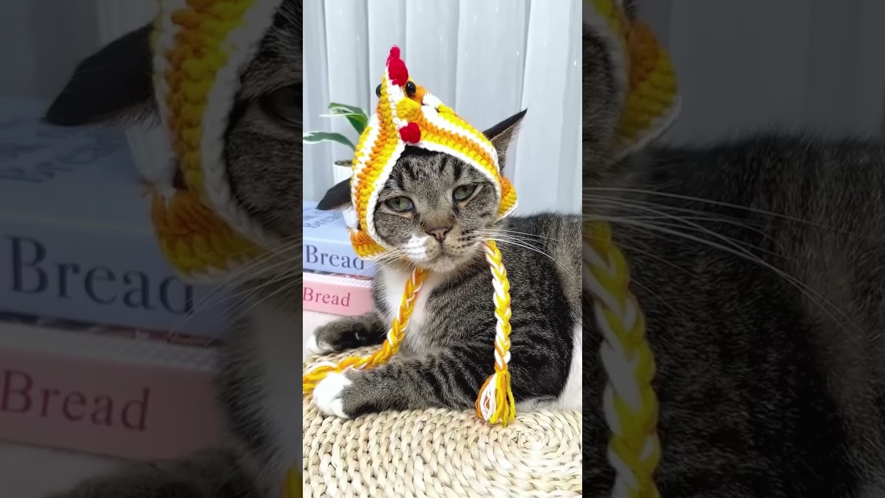 funny - YouTube
