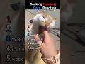 FUNNIEST CAT Reactions Ranked 🐱😂#shorts #viral