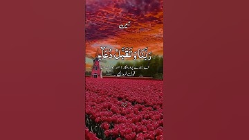 ربي اجعلني مقيم الصلاه ومن ذريتي تلاوه خاشعه #القرآن_الكريم #حالات_واتس_اب #راحة_نفسية #ارح_سمعك