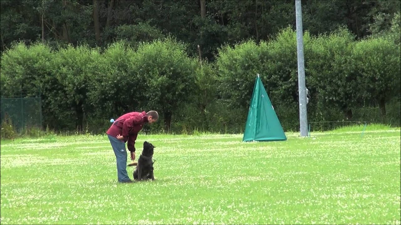 Kaz Van de Berlex-Hoeve - Training