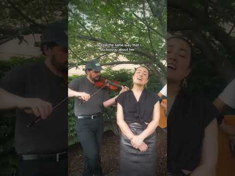 Found a lovely spot in Maryland and thought we would record Twilight within the trees 🌳🌿