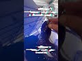 Car Paint Spot Repair Scraper Professional Paint File Quickly Removes Paint Spots/Runs/Stains