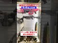 巨大過ぎるアメリカのエアソフト販売店Evike.comに潜入!! #Shorts