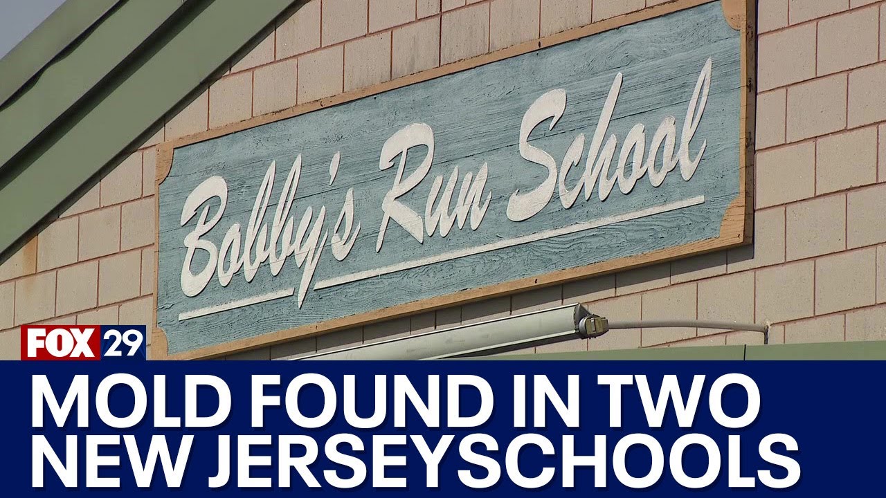 Mold found in South Jersey schools forces remote learning, building changes: district