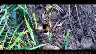 Velká Jarní Výprava