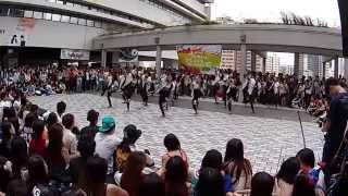 RCLee @ HKU Joint Hall mass dance 2015
