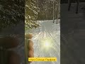 СОЛНЕЧНОЕ УТРО. ПРОГУЛКА. ПАРФЮМ.
