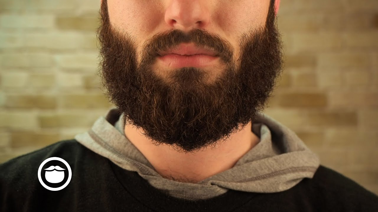 How to Tame a Wild Beard (6 Step Tutorial)