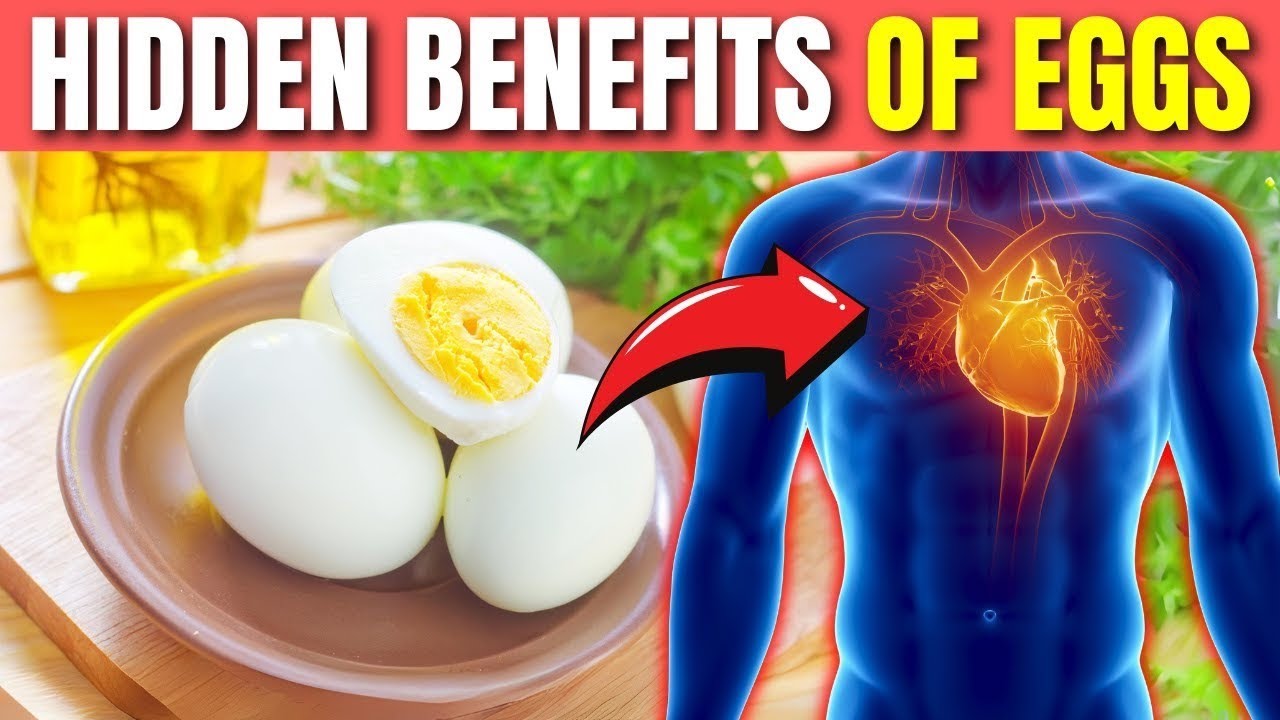Eggs For Your Daily Health