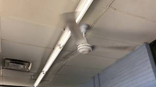 Ceiling Fans at the Mountain View Walmart (Running)