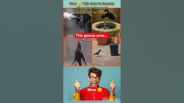 Wow 😲 The Genius Crow That Outsmarted Everyone! #crowfacts #birdfacts #factsvideo
