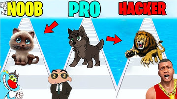 SHINCHAN & OGGY OPEN ANIMAL ZOO WITH CHOP! NOOB VS PRO VS HACKER VS GOD!