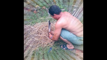 Thích thiên nhiên