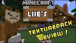 Minecraft LIIE's resourcePack [64x] 1.11 Review! RUBY ARMOUR!