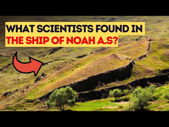 WHAT SCIENTISTS FOUND IN THE SHIP OF NOAH A.S class=