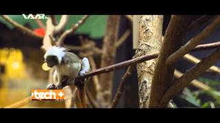 tech+ Ep 21 WAARtv screenshot 2