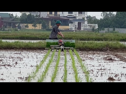 Video Máy Cấy Lúa Mini với mạ khay sẽ ra sao ??? - Rice... - youtube