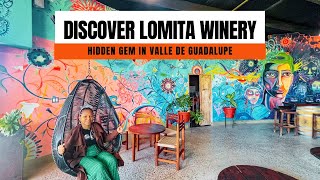 Discover Lomita Winery: HIDDEN GEM in Valle de Guadalupe 🌟