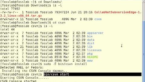 version control system using subversion edge 4
