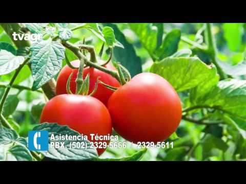Telas Agricolas -