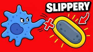Bacterial Morphology & Taxonomy | USMLE Step 1 Microbiology High-Yield Review