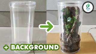 Little Forest Arboreal Terrarium Build/Design Video by dna design 499 views 3 years ago 6 minutes, 27 seconds