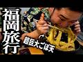 福岡の超名店で食い倒れツアーする奴【大地のうどん】【一双】【変なスタンス】