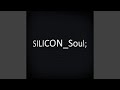 Silicon soul