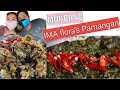 LAING at CHICHARON BULAKLAK MUKBANG | IMA Flora&#39;s Pamangan | Bataan Best Restaurant