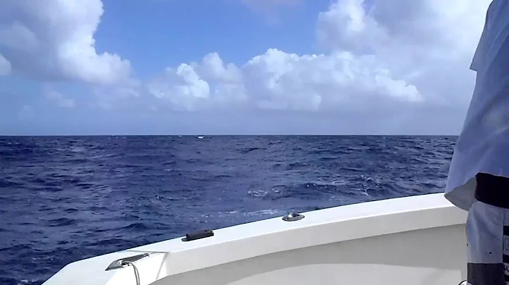 Captain Mike's Deep Sea Fishing Trip
