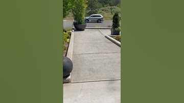 Wasp nest by our front door! #wasps #dangerzone