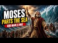Moses Parts the Red Sea 🌊 | Moments That Changed Everything Ep. 3