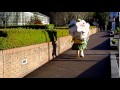 ミヤリーの全力疾走