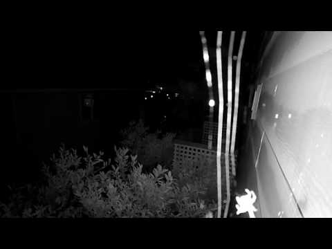 The Adventures of Speedy the Spider Part 5