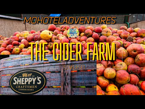 Sheppy's Cider Farm Somerset Motorhome trip, we take a look at the famous apple orchards.