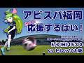 アビスパ福岡応援するばい!!!!!百年構想リーグ第14節 2026年5月3日セレッソ大阪戦 #アビスパ福岡
