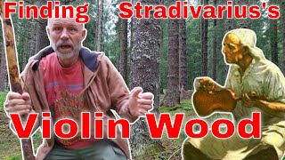 Finding Stradivariu's Wood  ! I go to Italy to the forest where Stradivarius got his tonewoods.
