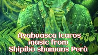 Ayahuasca Icaros Shipibo Shaman Songs From Perù Amazon Cantos De Chamanes Canções Do Xamã Do Peru