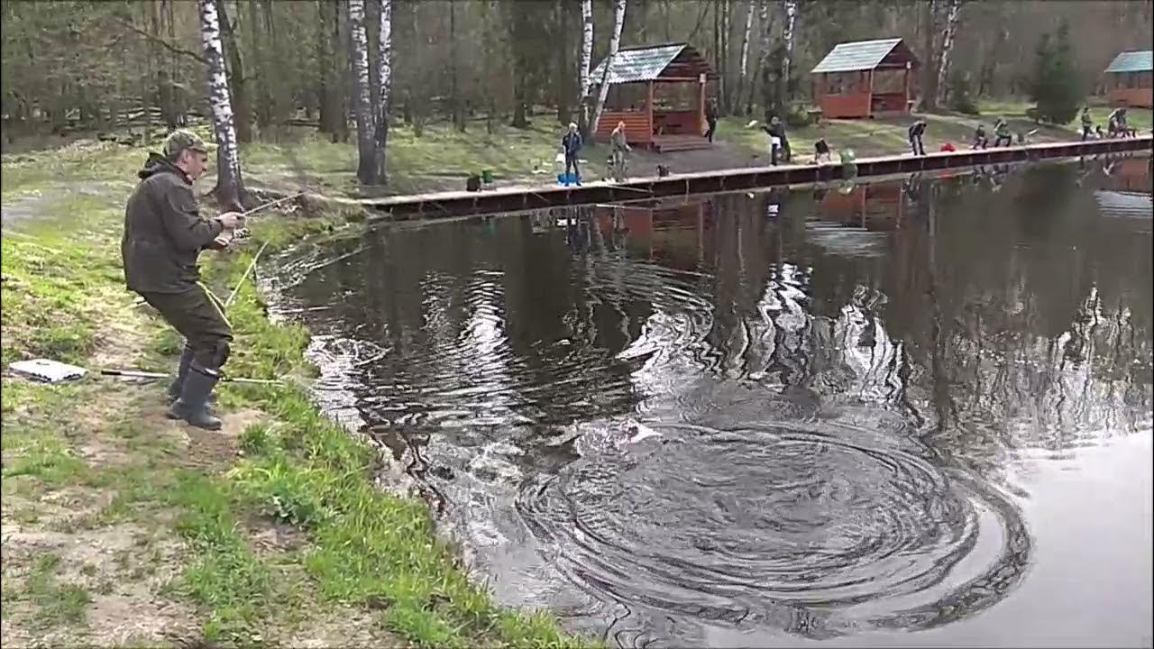 Клевым местам видео. Клёвое место Лосиный остров. Клевое место гостиница Лосиный остров. Клёвое место Лосиный остров Нижний пруд. Клёвое место Жуковский район.