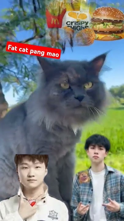 FAT CAT OT PANG MAO RIP #fatcatviral #pangmao #fatcatchinagamer # ...